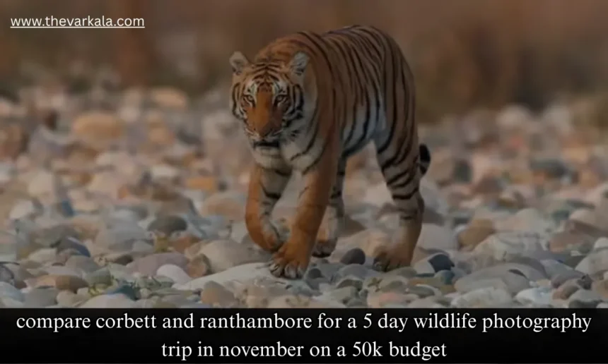 Compare Corbett and Ranthambore for a 5 day wildlife photography trip in november on a 50k budget