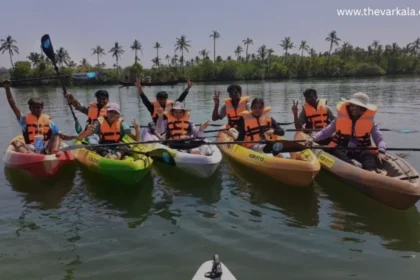 Mangrove Forest Varkala