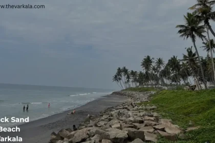 Black Sand Beach Varkala