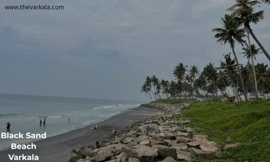 Black Sand Beach Varkala