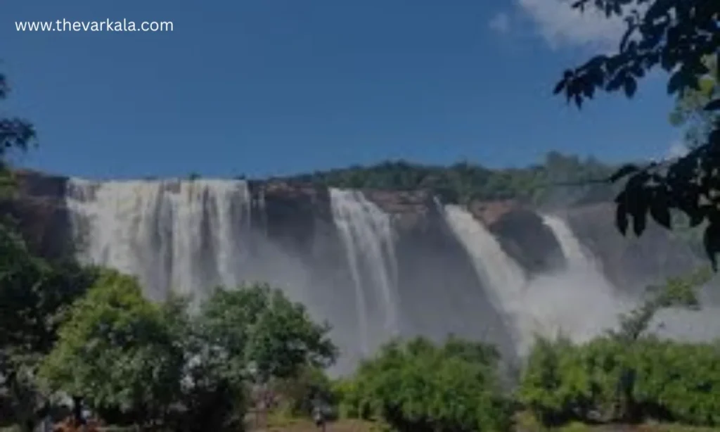Flora and Fauna Around Athirappilly