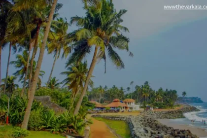 Help Me Pack For My Trip To Kerala Next Week