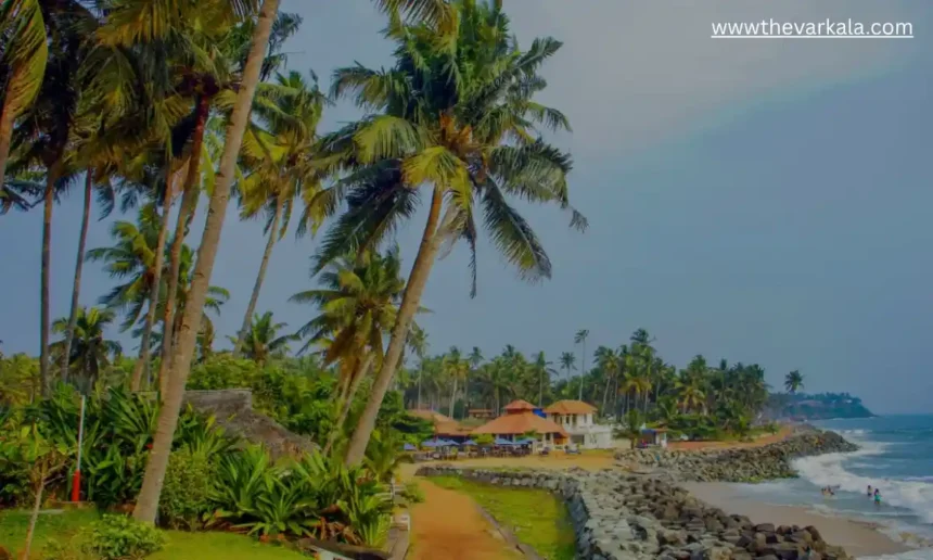 Help Me Pack For My Trip To Kerala Next Week