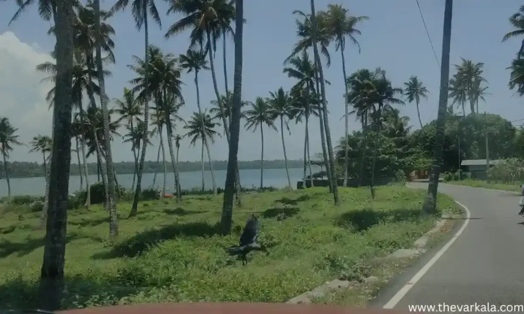 How to Reach Varkala by Car or Bike