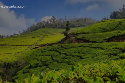 One Day Trip Places in Kerala