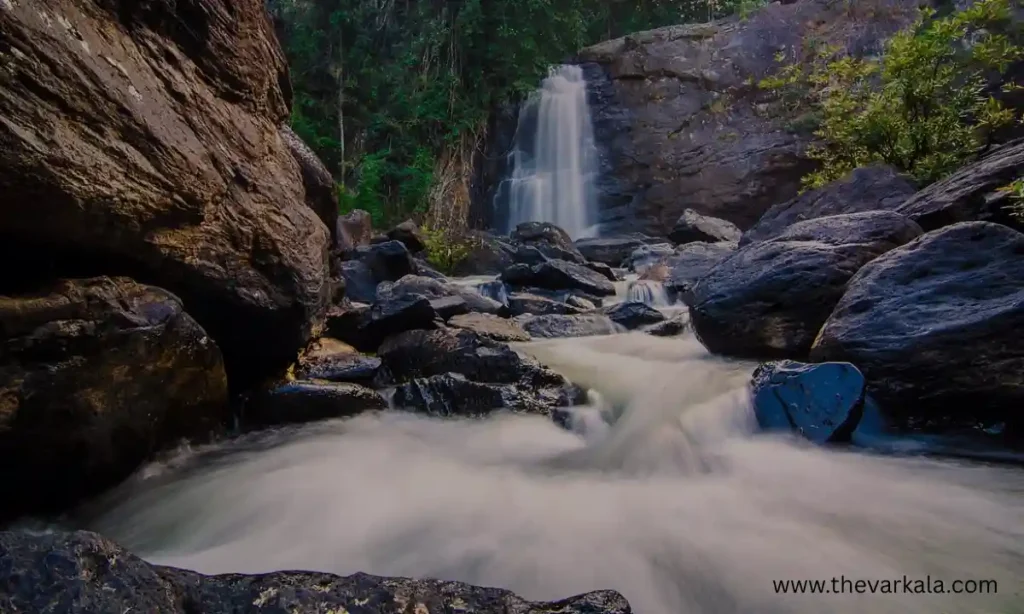 Wayanad &ndash; Best Weekend Destination