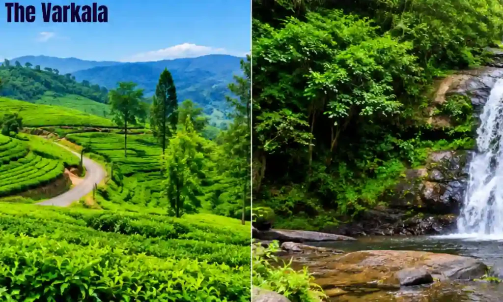 Nelliyampathy Tourist Places